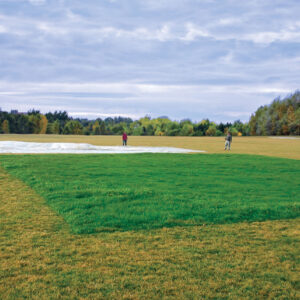 Winter Turf Growth Covers